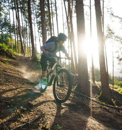 Ein Mountainbiker fährt mit einem Cube Bike den Berg hinunter. Die Sonne leuchtet durch die Bäume.