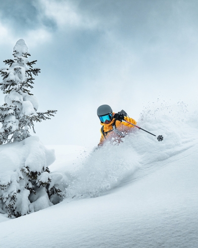 Skifahrer in gelber Jacke fährt im frischen Pulverschnee in der Nähe eines schneebedeckten Baumes an einem Berghang.