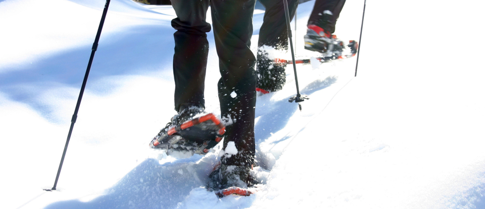 Schneeschuhwanderer wandern an einem sonnigen Wintertag mit Trekkingstöcken im tiefen Schnee.