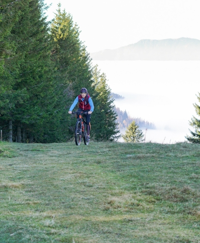 Mountainbiker fährt bergab auf einem grasbewachsenen Pfad mit immergrünen Bäumen und nebliger Bergsicht.